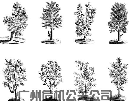 pic_172.png